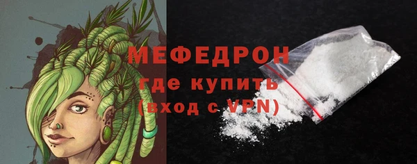 прущие грибы Каменногорск