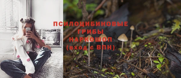 MESCALINE Карпинск